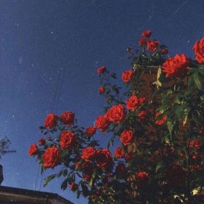 乐发lv彩票app下载安装截图